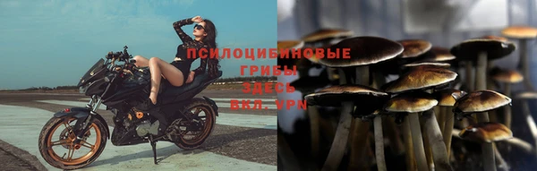 дмт Алексин