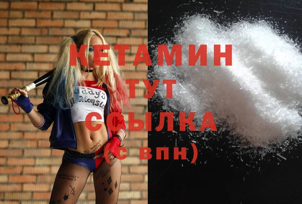 стаф Алзамай