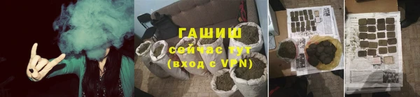 стаф Алзамай