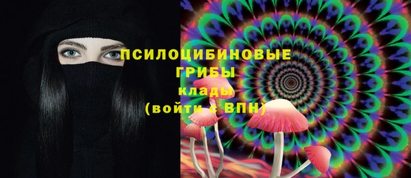 дмт Алексеевка