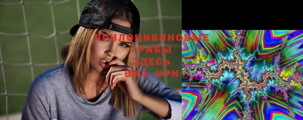 дмт Алексеевка