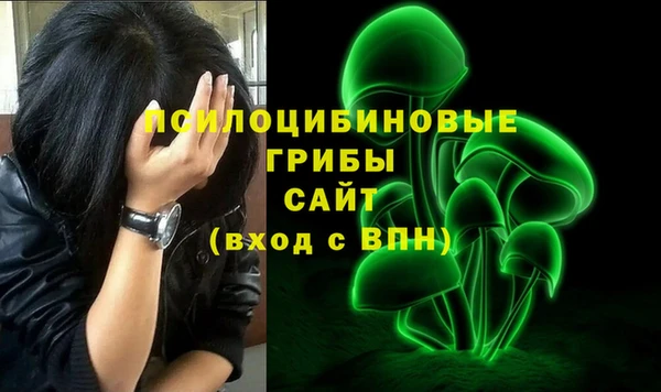 дмт Алексин