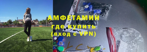 стаф Алзамай