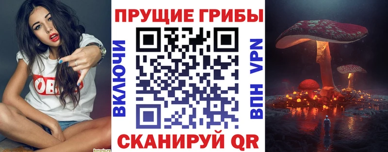 Галлюциногенные грибы мицелий Карабаш